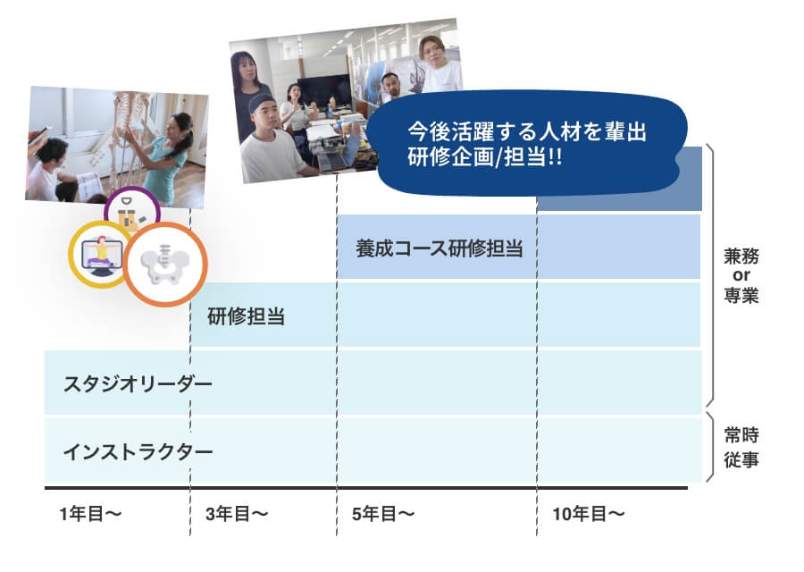 育成・企画に携わるキャリアイメージ